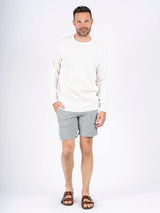 Brian stribede shorts I hvid/grøn