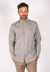 Oxford check OIive