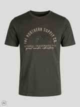 Caden t-shirt med print I grøn